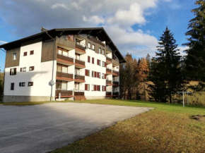 Appartement Schneerose Tauplitz